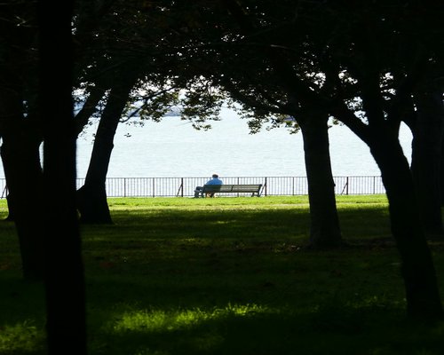 Person relaxing and enjoying fresh air outdoors in a park